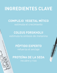 Lipocils Expert