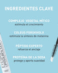 Eyebrow Liposourcils Expert