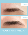 Liposourcils Platinium